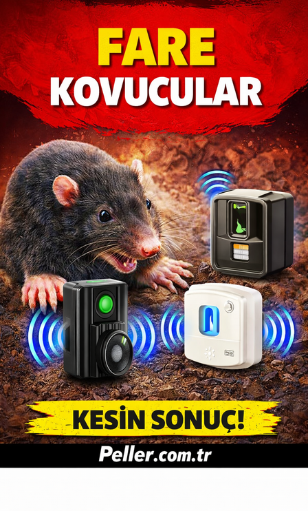 Evde ve İş Yerinde Fare Problemi: Türler, Riskler ve Kalıcı Profesyonel Çözümler