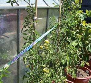 Kuş Kovucu Reflektör Şerit - 120 Mt Repel BR 02 Holografik