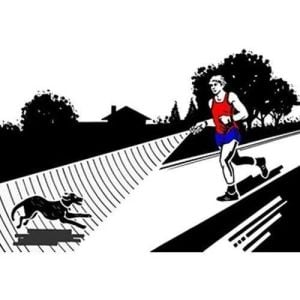 Repel RP 30 V2 El Tipi Köpek Kovucu Eğitici 30 Metre Etkili