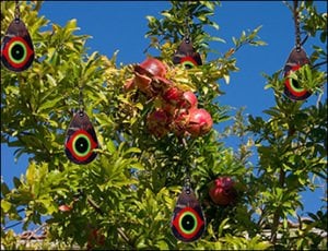 Repel Kuş Korkutucu Göz - Bird Eye - 4'lü Takım