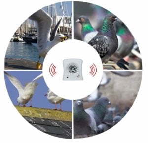 Sonik Ultrasonik Kuş Kovucu Cihaz EB 200 M²